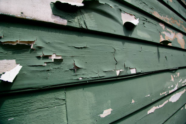 Best Custom Siding Design  in Edgewater, NJ