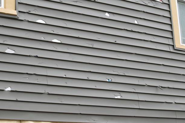Best Fiber Cement Siding Installation  in Edgewater, NJ