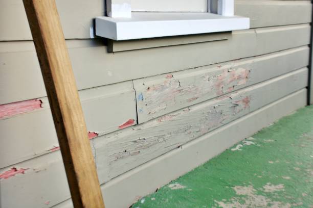 Best Residential Vinyl Siding Installation  in Edgewater, NJ