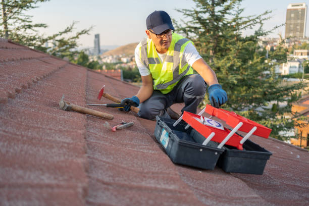 Best Insulated Siding Installation  in Edgewater, NJ